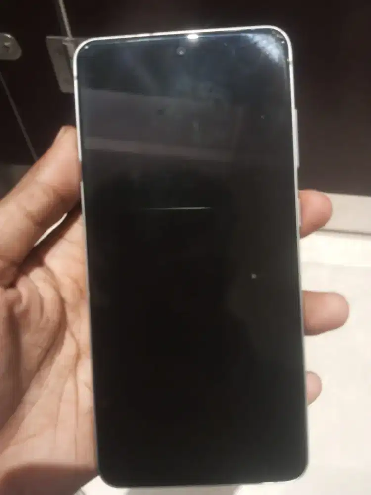 Samsung S21 Fe 5G 8/256