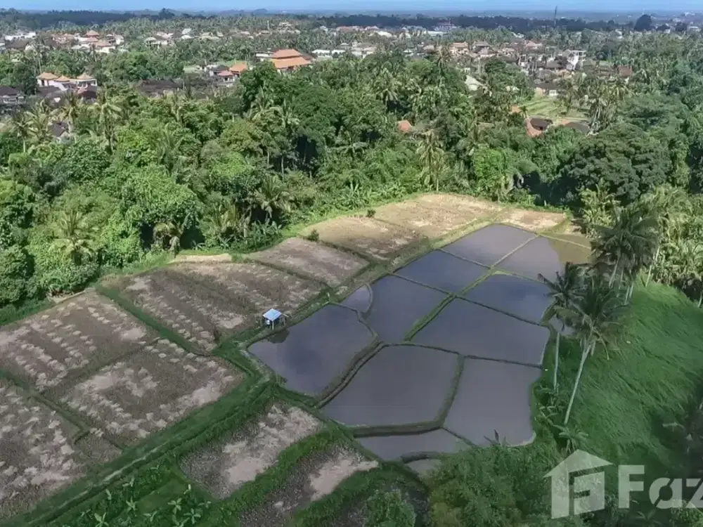 Land for sale in Ubud, Bali