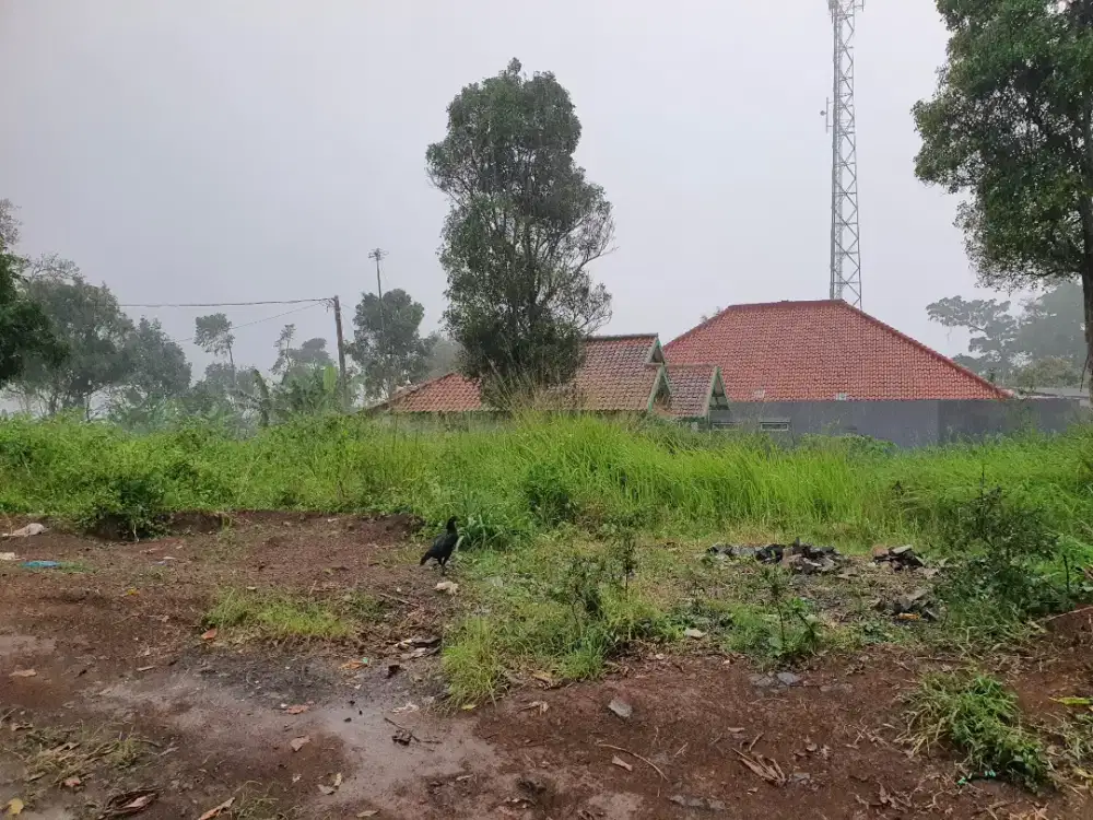 Tanah akses mobil Pinggir jalan