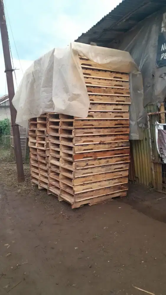 kayu palet ukuran 100 x 120