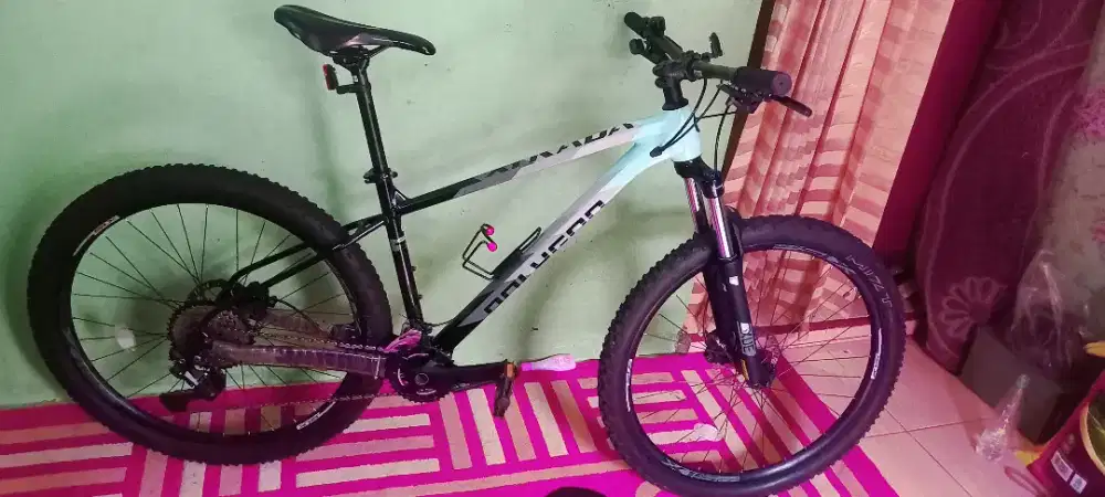 Polygo extrada 5 mulus kyk baru no mines