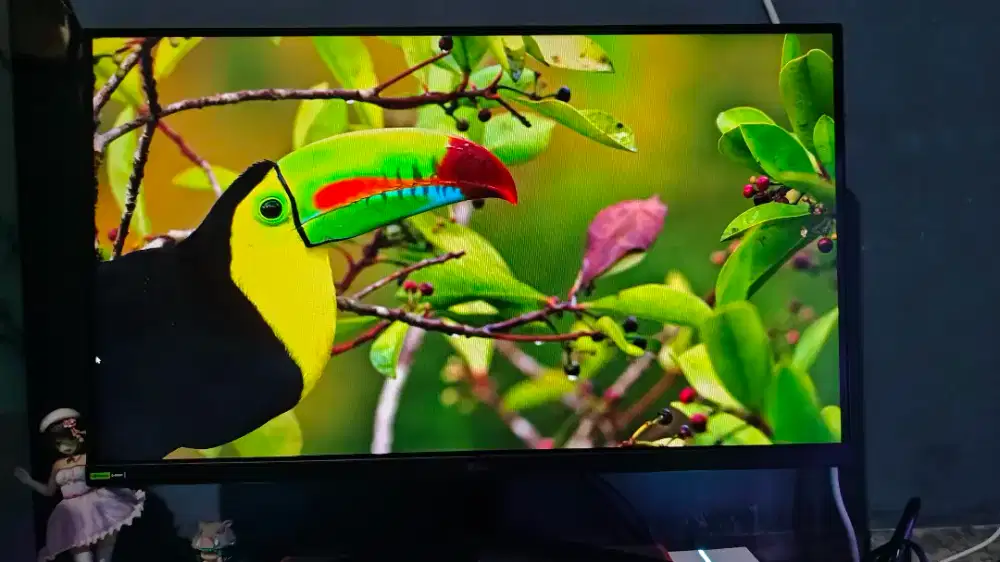 MONITOR LG ULTRAGEAR  27GS60F-B IPS FHD