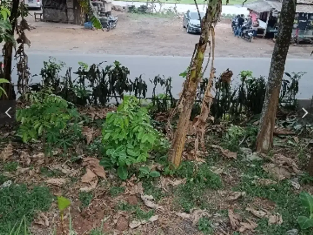 Tanah pinggir jln harga belum naik! pajak & UMR murah