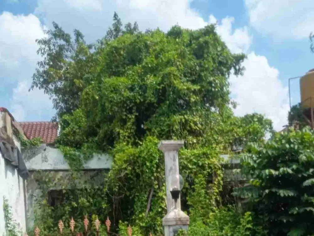 dijual  rumah murah, hitung tanah di nirwana eksekutif blok dd