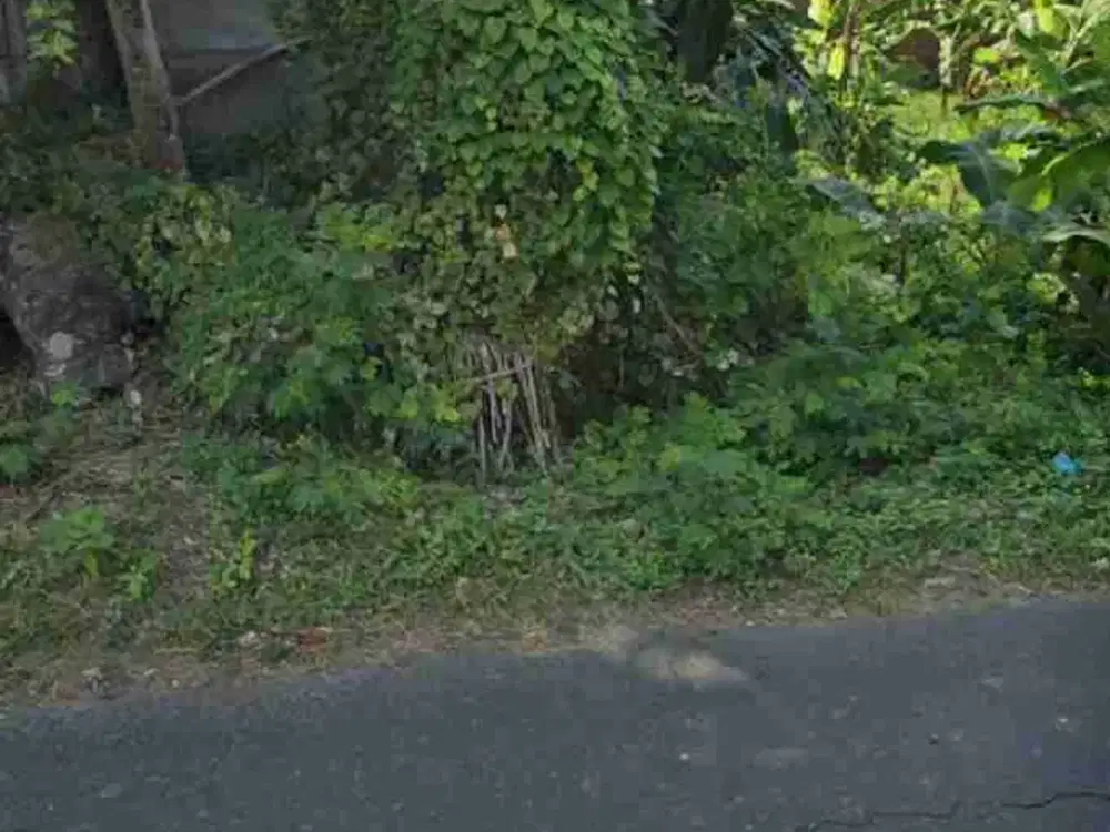 Lahan premium 2 are 5 menit dari RS kasih ibu saba lingkungan nyaman bebas banjir