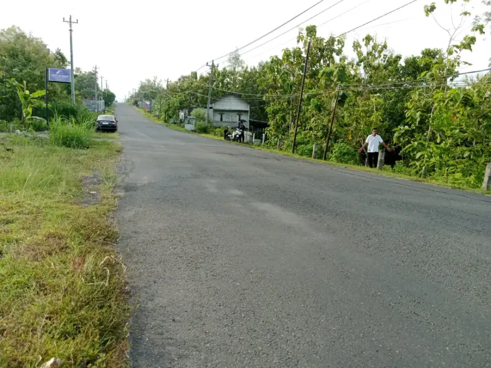 Jual tanah di Sentolo Kp