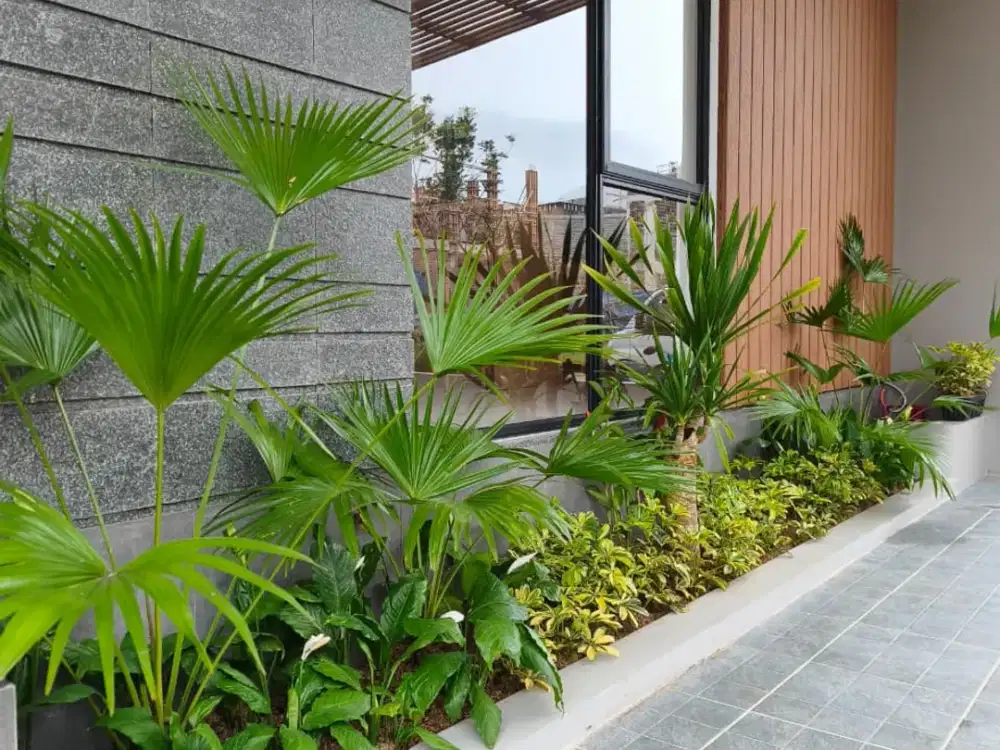 Dijual : Rumah Baru 3lantai di Komp Setra duta Riverside dekat Maranatha, UPI, RsHS, Rs. Advent, PVJ, Setiabudi, Tol Pasteur