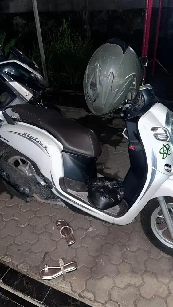 Scoopy Stylish 2020