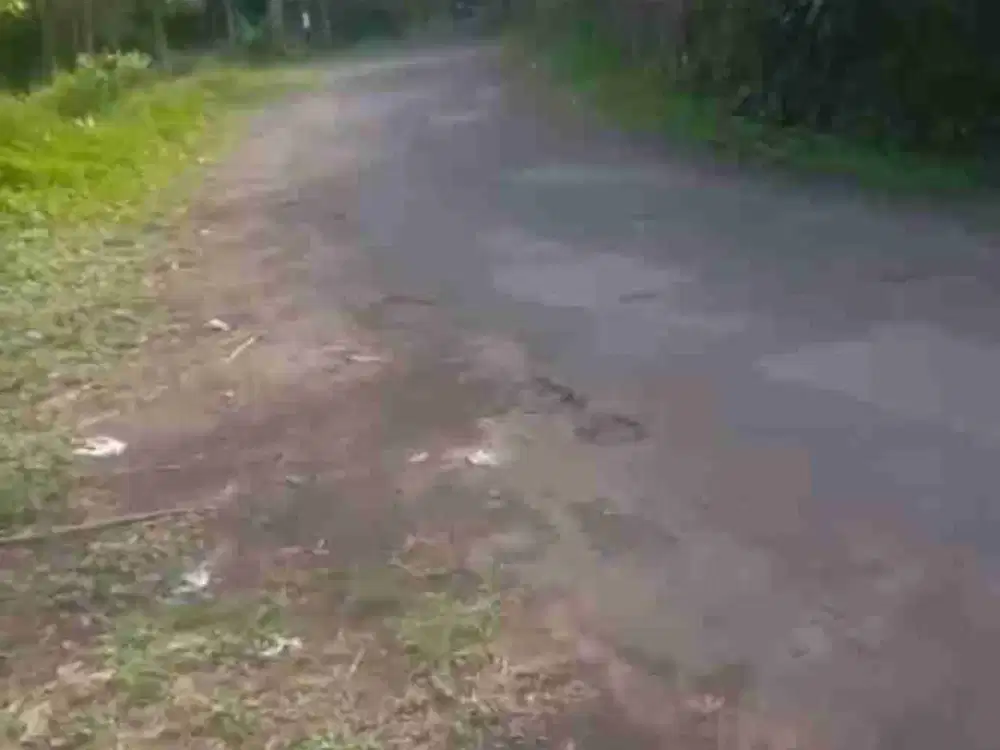 Jual tanah nusaherang kadugede