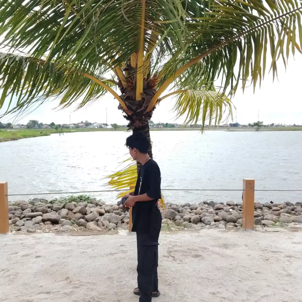 Bismillah kali aja ada info loker syukur ada mesnya