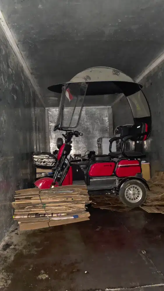 Sepeda Listrik Exotic Roda 3