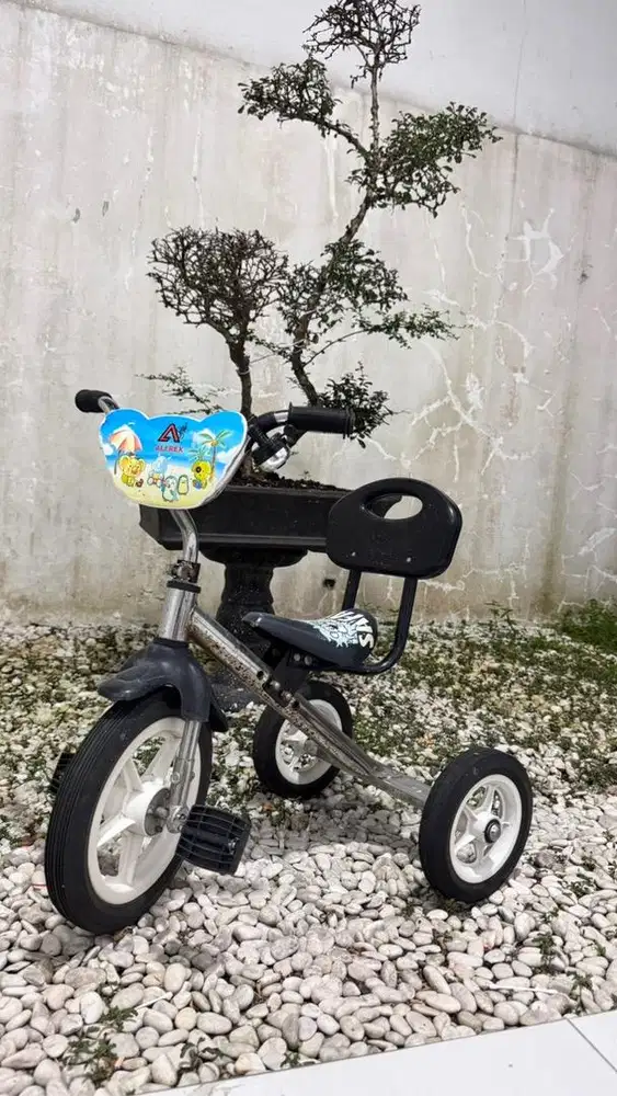 Sepeda bekas anak