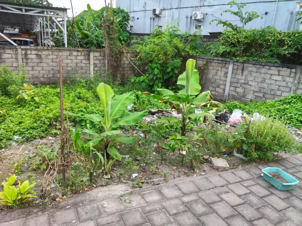 Tanah Langka Pidada Gatsu Barat Jalan 6 meter paving