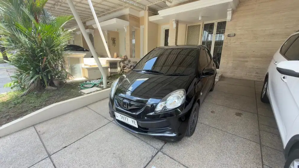 Brio mulus nego tipis