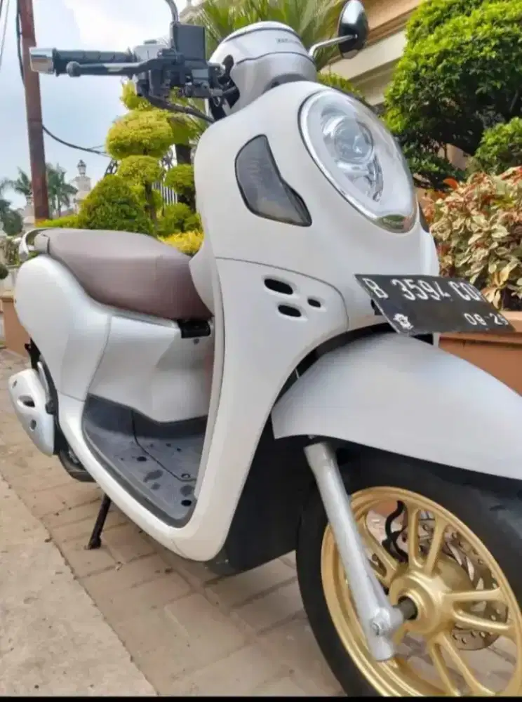 scoopy prestig 2021