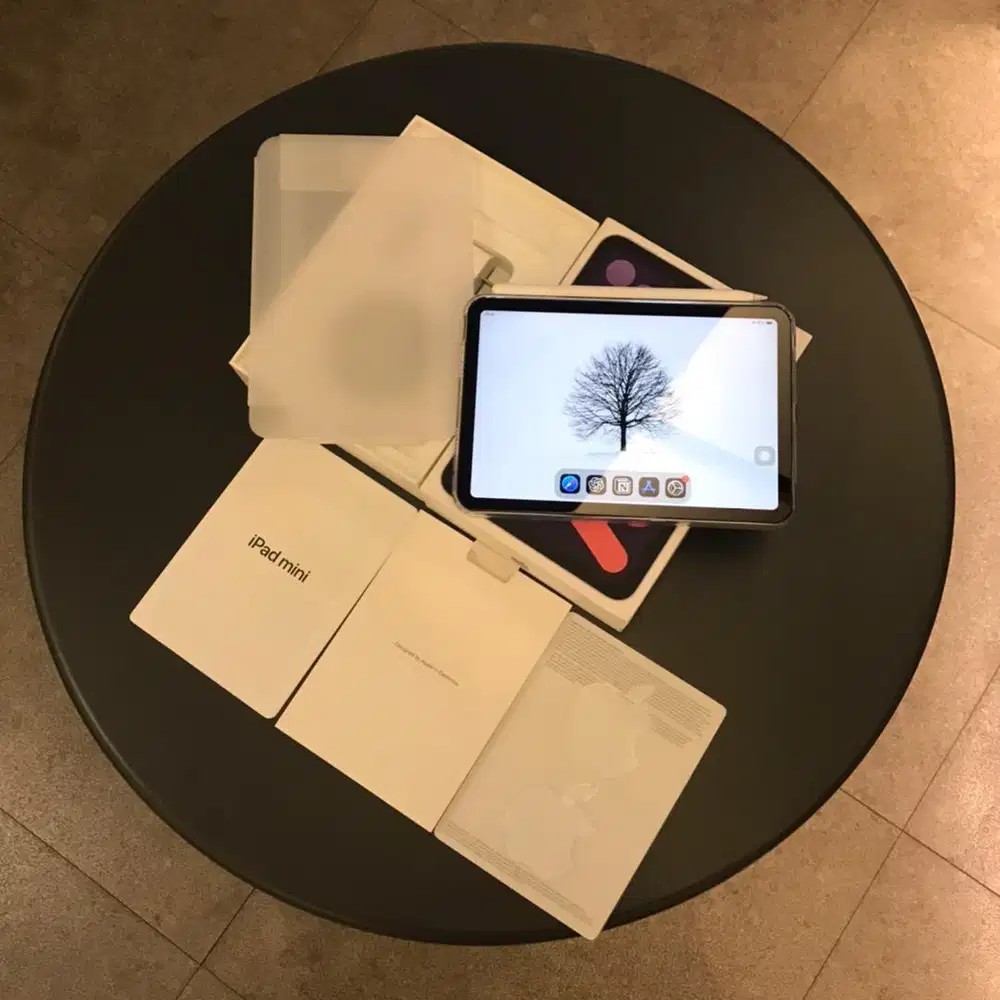 iPad Mini 6 Purple Rare + Apple Pencil gen 2 Lengkap.