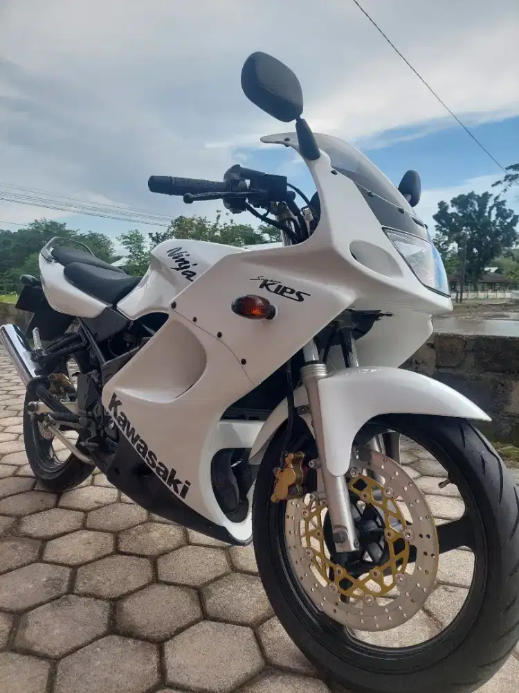 Ninja rr 2010 asli albino