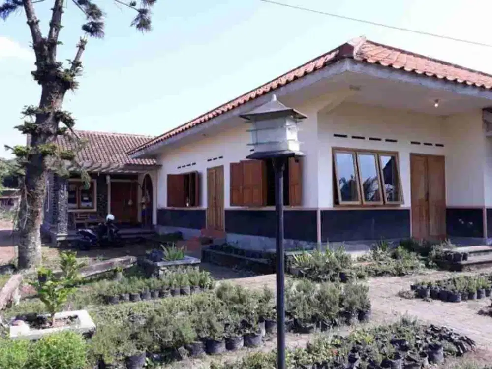 rumah kebun Cantik Dan strategis Di area pariwisata