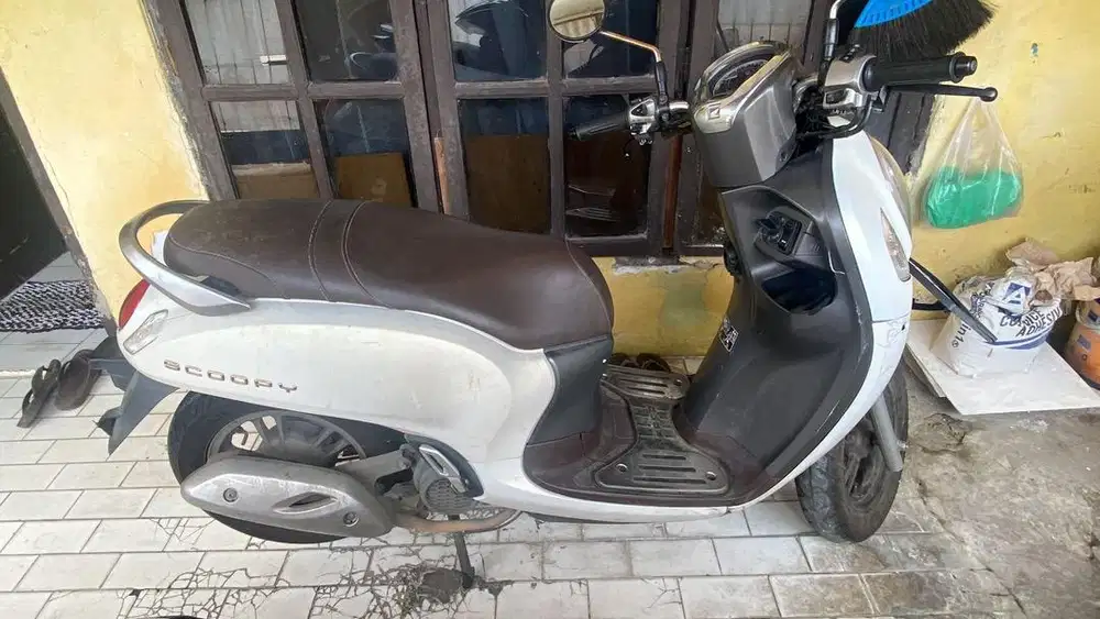 Honda scoopy prestige 2024