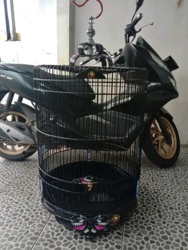 kandang murai ebod decal nomor 2