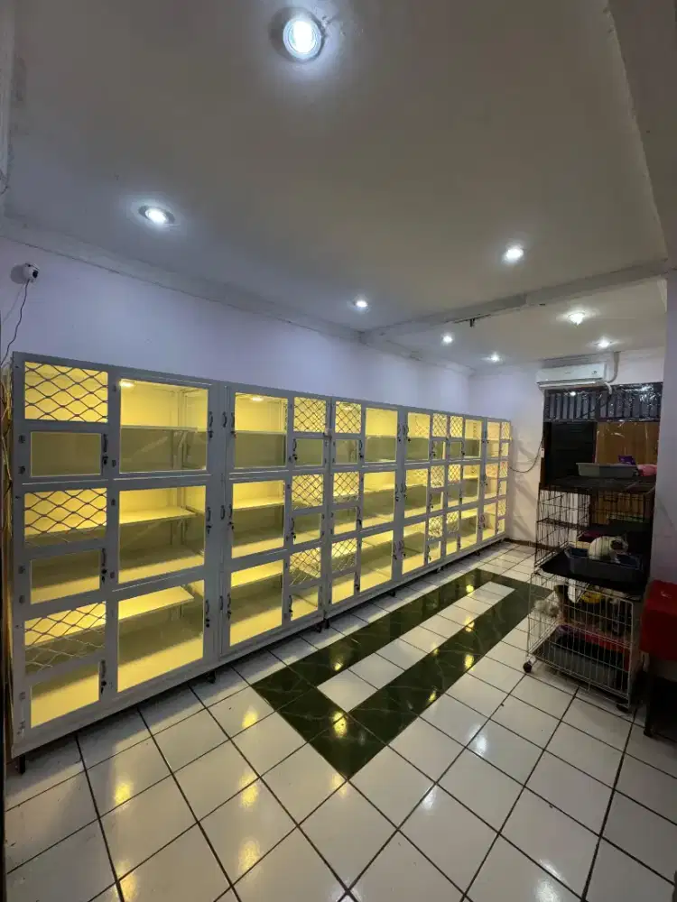 Pet hotel penitipan hewan kucing kelinci marmut