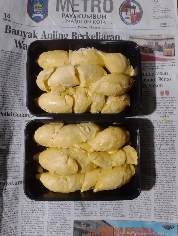 Durian kotak berat 500 gram