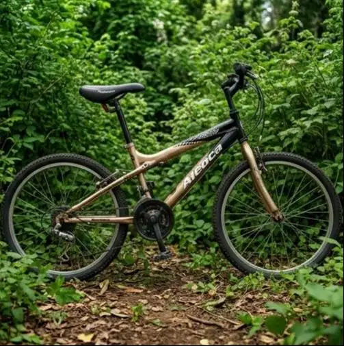 Sepeda MTB Anak/Bmx Aleoca Italy