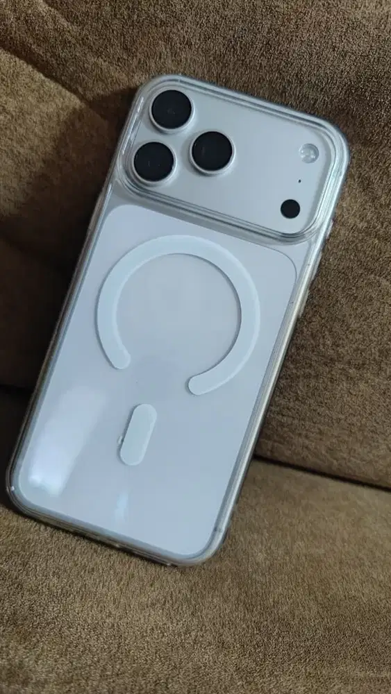 17 promax silver 256