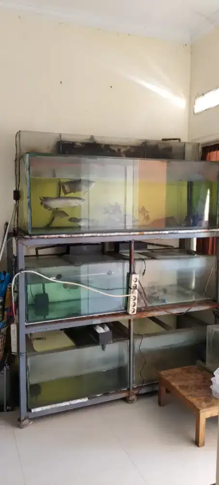 Jual aquarim full sett