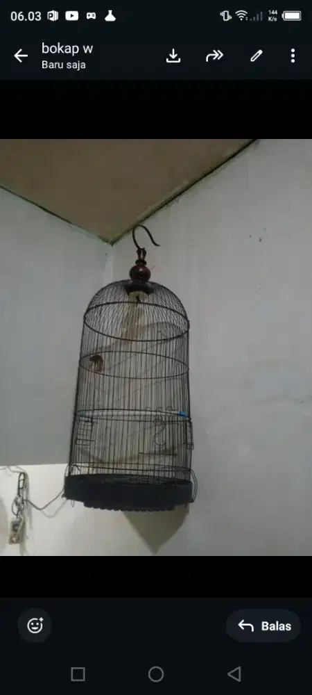 Di jual Kandang besi Kapsul