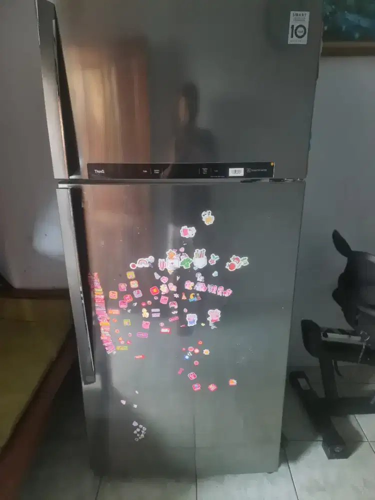 Kulkas LG Jumbo Smart Inverter Thinq LED