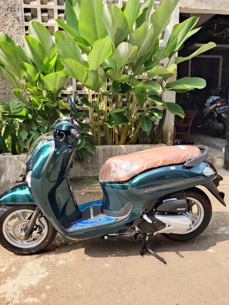 Scoopy 2026 gres gajadi pakai