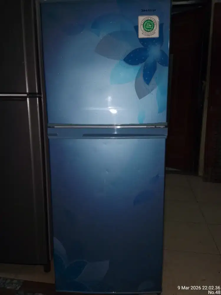 kulkas Sharp 2pintu