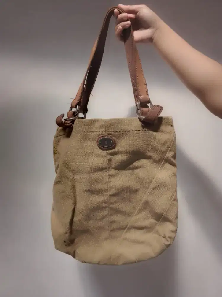 tas fossil original