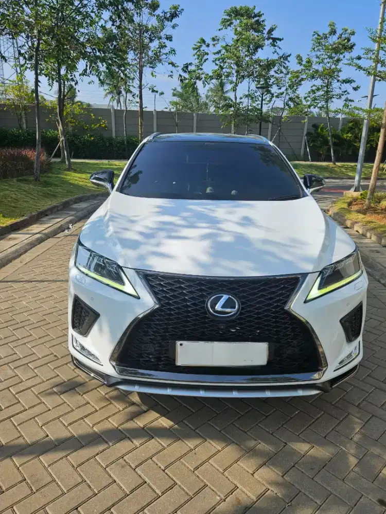 Lexus RX300 F Sport tahun 2020