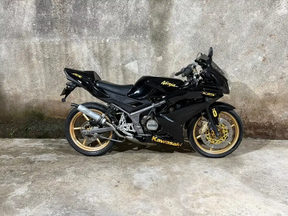 Ninja RR New 2015