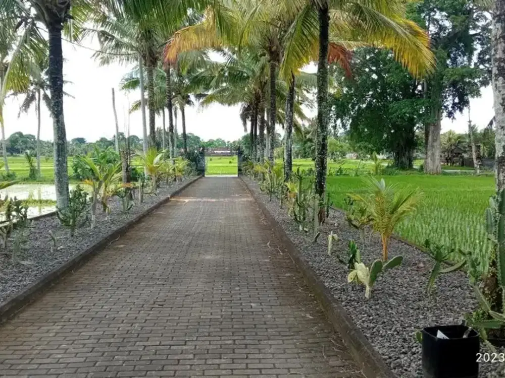 Tanah Strategis 700 m² di Kediri Tabanan – SHM | Cocok Villa / Investasi