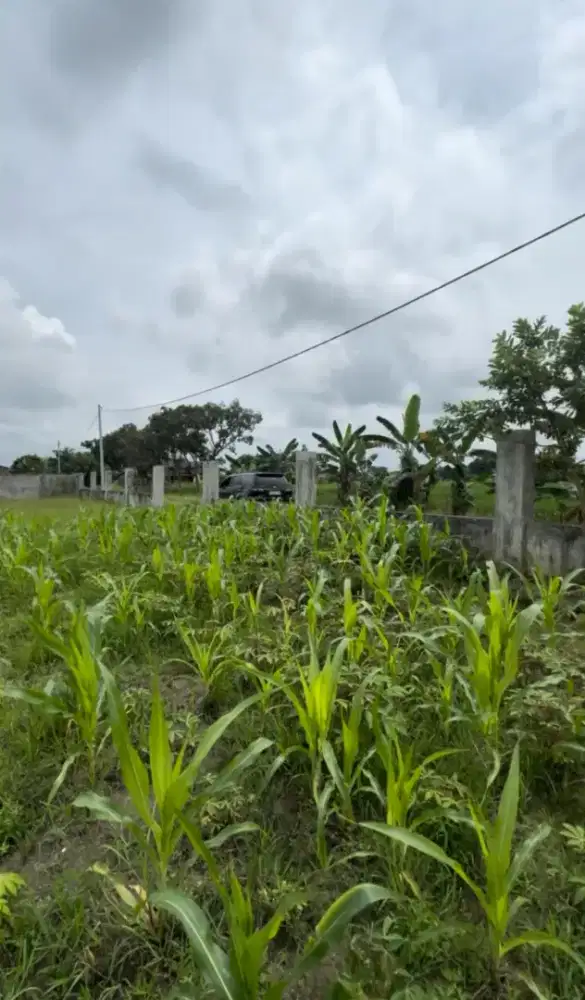 Tanah Luas Cocok untuk Rumah atau Investasi