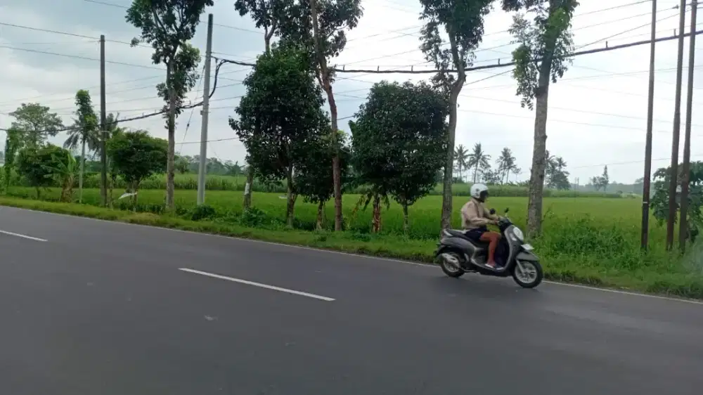 Di jual tanah (sawah) di JLT selok gondang