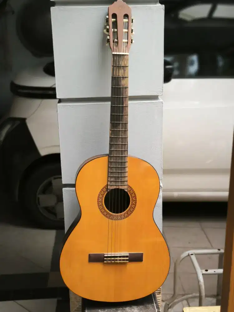 Guitar Yamaha C315