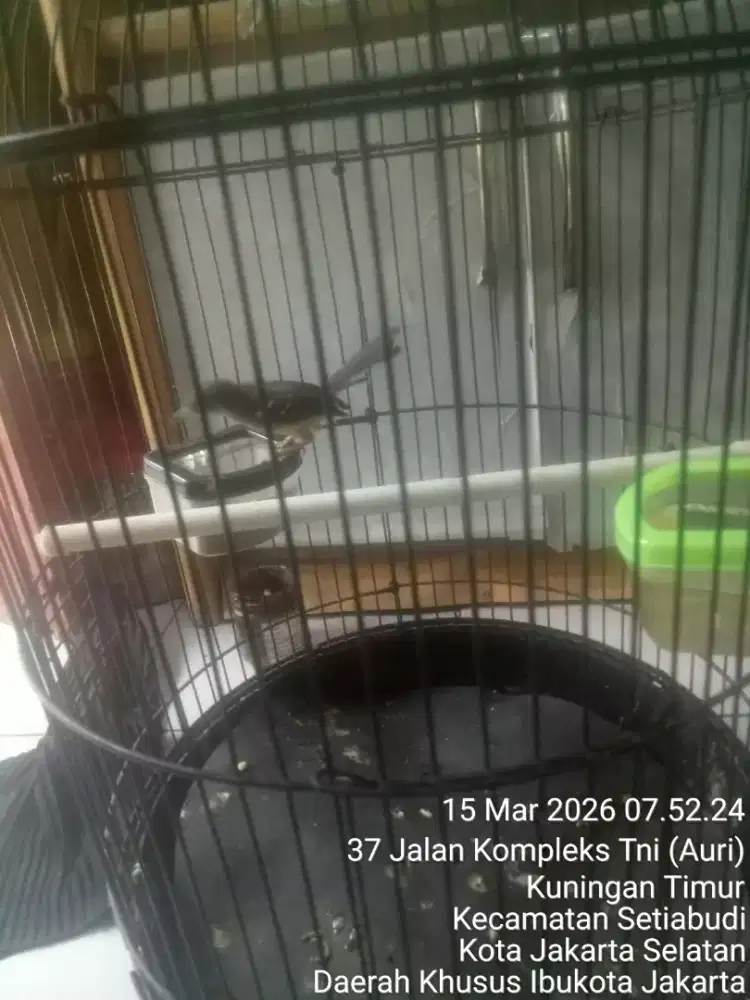 JUAL SANTAI SAMBIL NGOPI