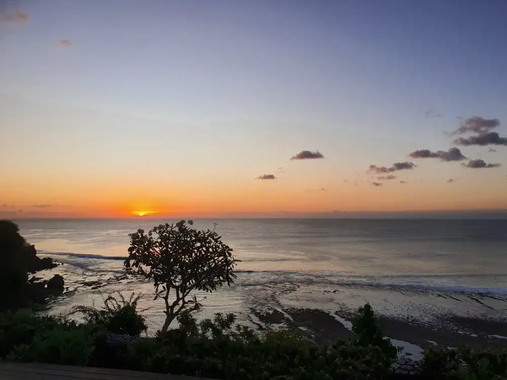 Membutuhkan ART tinggal dalam