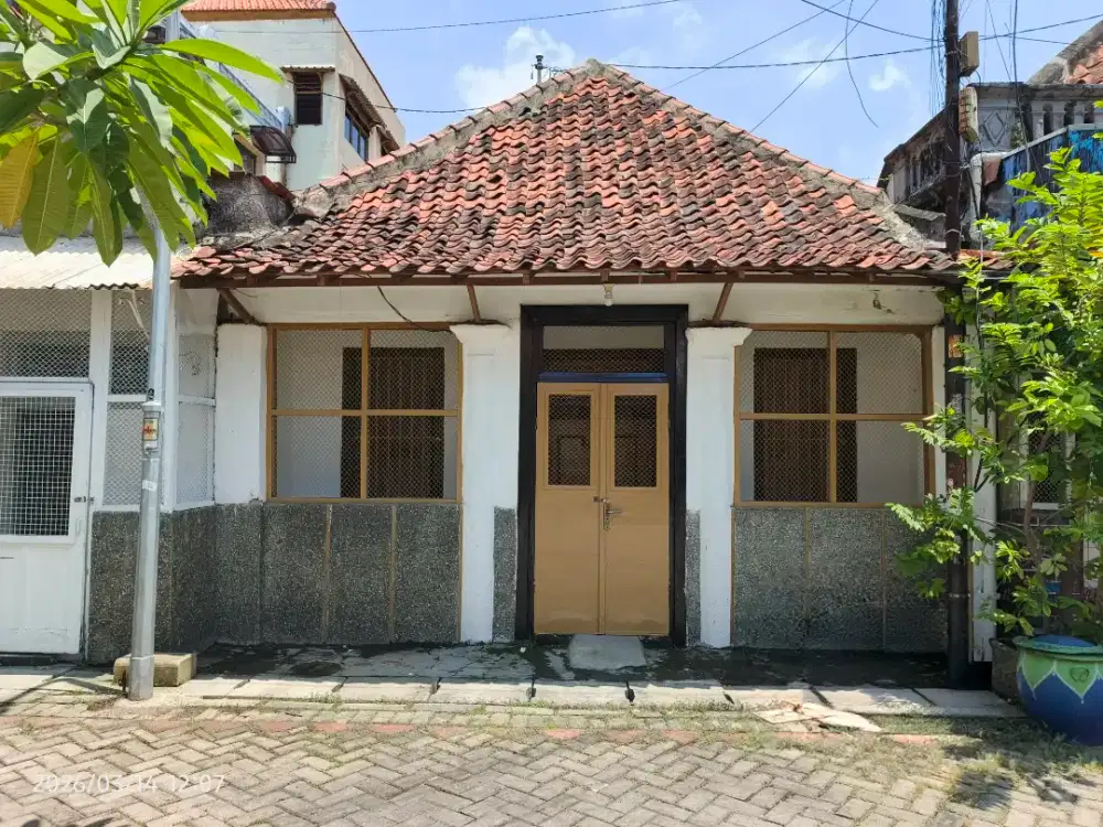Disewakan Rumah Nyaman (Hadap Utara)