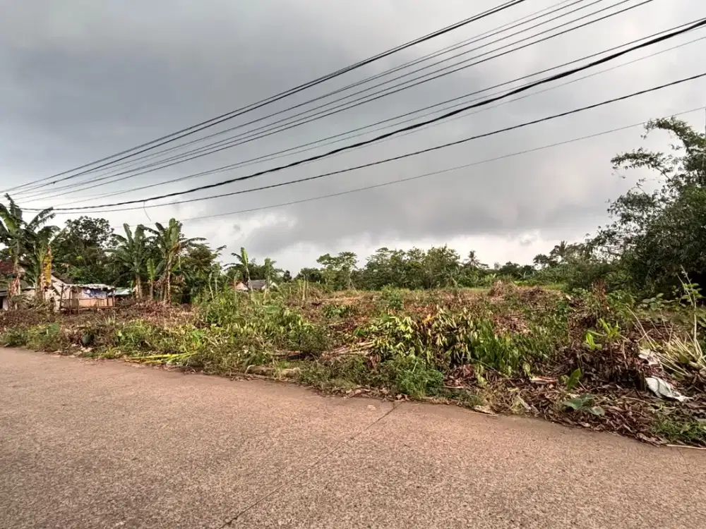Bisa Cicilan Tanpa Bunga - Tanah Kavling Cisauk 100Jtan Dekat Stasiun