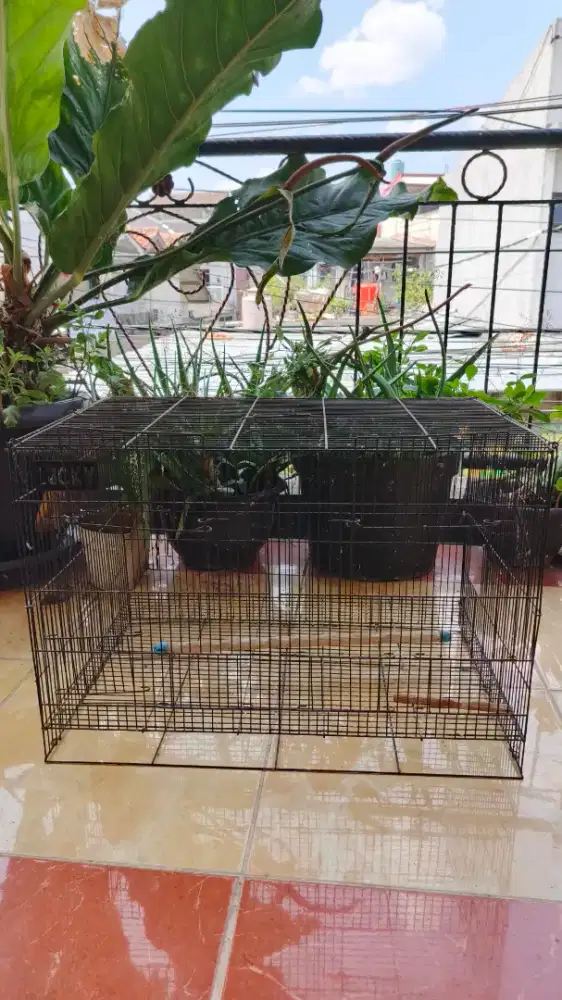 Kandang kotak second