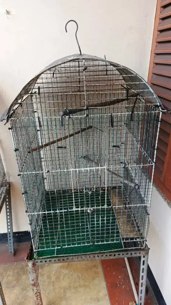 Kandang kotak second