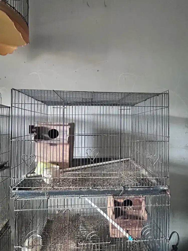 Kandang kotak besi 60x40