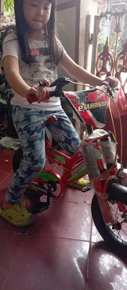 Sepeda anak usia 3-8th