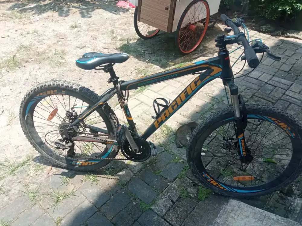 sepeda roadbike PASIFIC INVERT 100VT