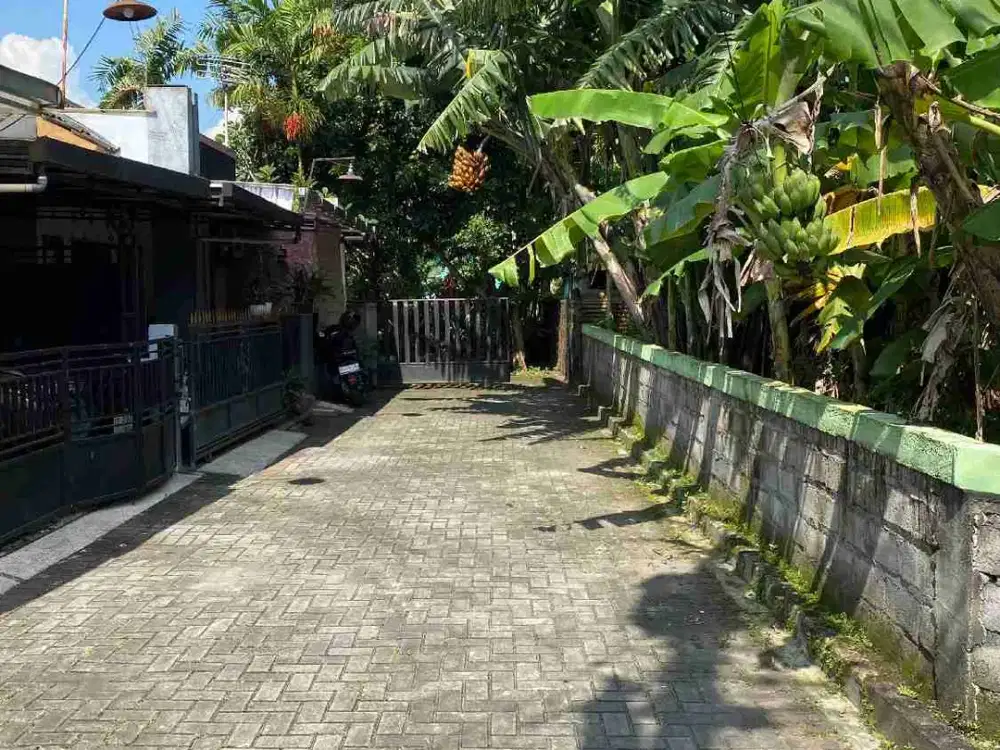 Dijual rumah klasik lokasi sangat strategis